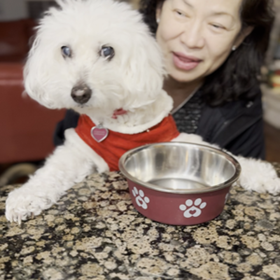 Woman holds a fluffy white dog wearing a red shirt beside a pink paw-print bowl on a granite countertop.
