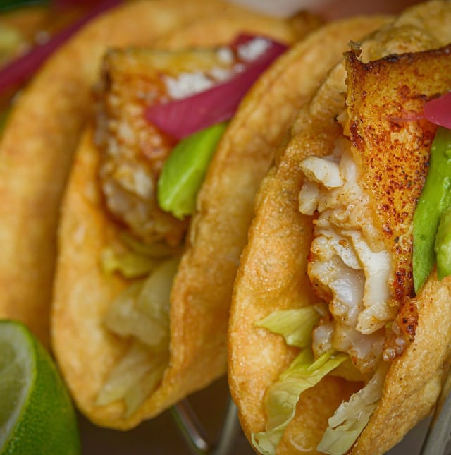 Fish Tacos.